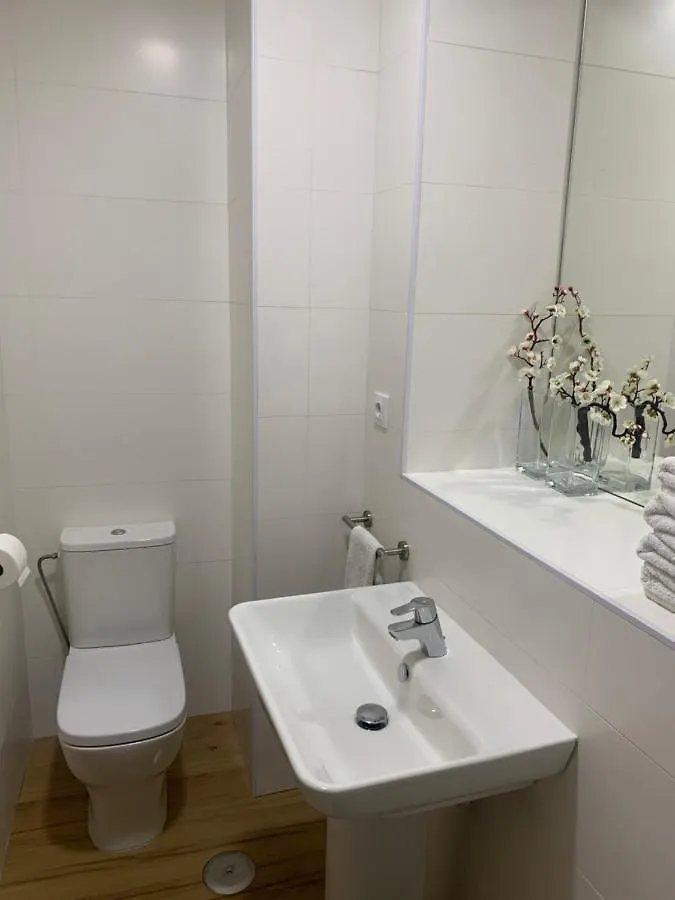 Apartamentos Hercules Sevilla Seville